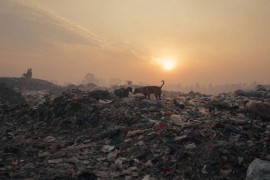 Za Dan planete Zemlje u Sarajevu besplatna projekcija "Plastične ...