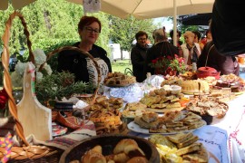 "Zdravofest" u Gradišci: Hrana i kulturni program privukli učesnike i ...