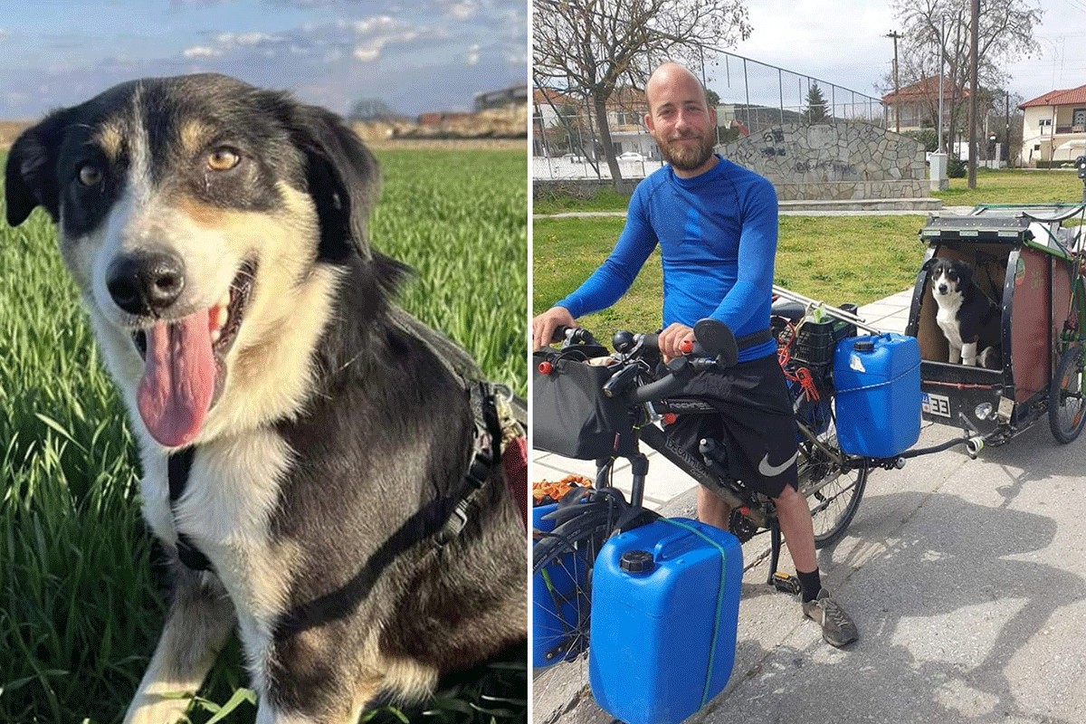 Francuz prošle godine izgubio psa u Grčkoj, sad ga našao kod granice sa BiH