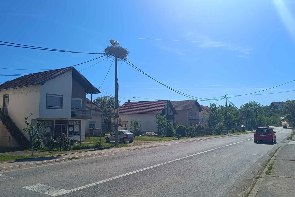 Vratile se rode u Oštru Luku, zašto im se ljudi raduju
