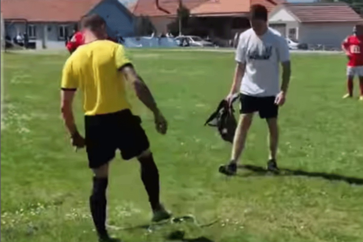 Zmija ugrizla sudiju na utakmici u Srbiji (VIDEO)