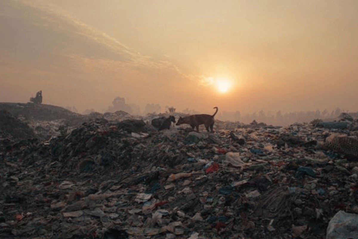 Za Dan planete Zemlje u Sarajevu besplatna projekcija "Plastične fantazije"