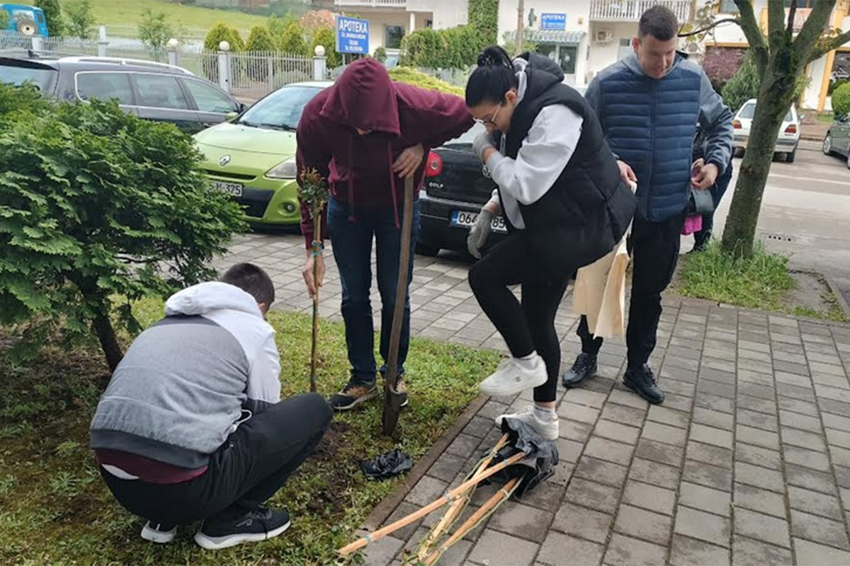 Članovi DEMOS-a zasadili drvored četinara