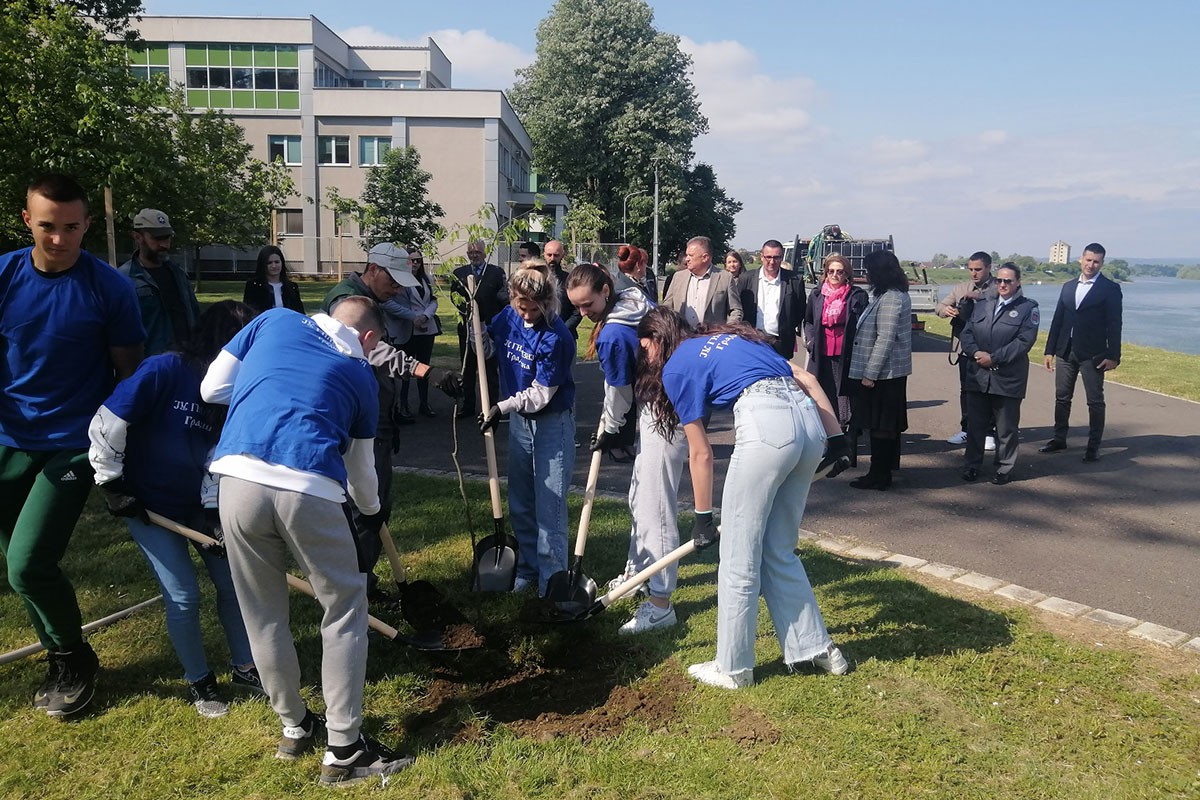 Gradiška: Maturanti zasadili drvo, građani dobili ruže (FOTO)