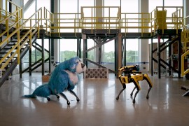 Robopas dobio krzno (VIDEO)