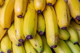 Pronađeno 60 kilograma kokaina u pošiljci banana