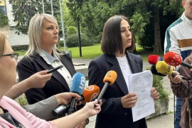 Vukomanović i Savić-Banjac: Ministarstvo odustalo od zakona o femicidu