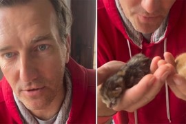 Šajeta: Ne znam mijaukati kao Baby Lasagna, ali imam jedan problem