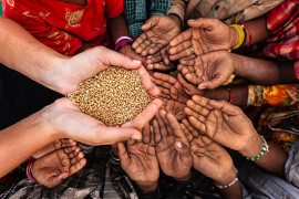 WFP potrebno 400 miliona dolara da bi prehranio milione ljudi u južnoj ...