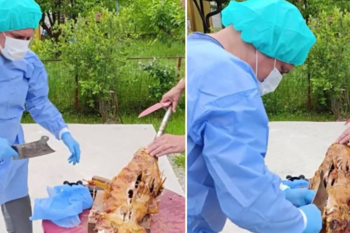 Obukao se kao hirurg pa "operisao" pečeno janje za 1. maj (VIDEO)