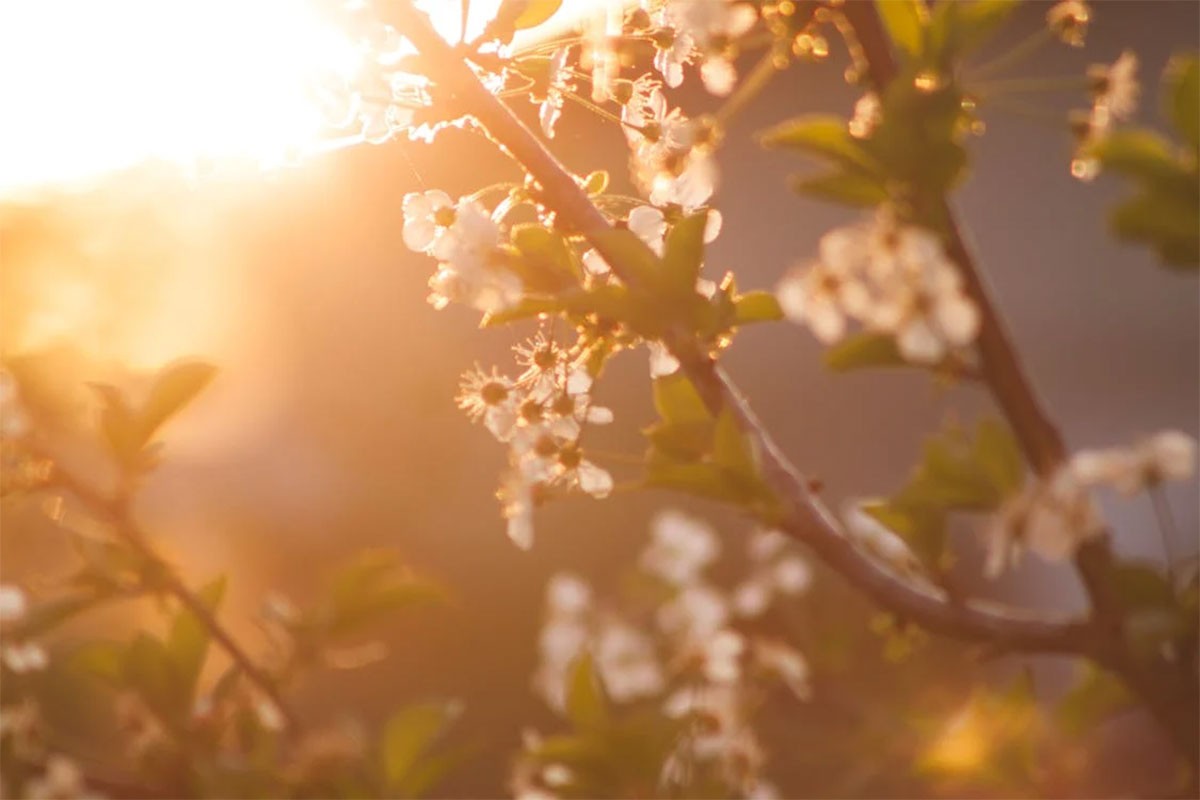 Pretežno sunčano i toplo, temperature do 29 stepeni