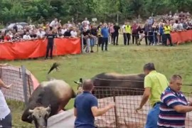 Bik podivljao na koridi pa povrijedio muškarca
