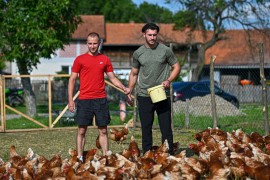 "Farma 5 jaja" senzacija na društvenim mrežama, pogledajte zašto ...