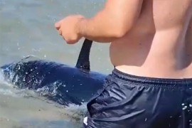 Drama u Grčkoj: Kupači izletjeli iz mora kada su ugledali ogromna ...