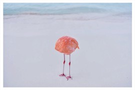 Pobjednik AI foto konkursa diskvalifikovan jer je njegova slika  ...