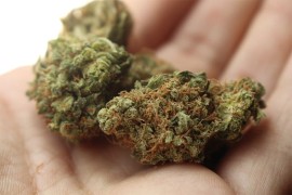 Policija pronašla 1,3 kg droge bačene iz auta u Trebinju