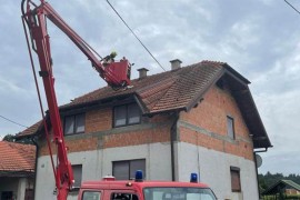 Grom ubio rodu u gnijezdu na krovu kuće