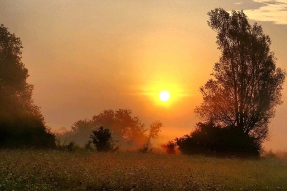Osmoro ljudi umrlo od sunčanog udara