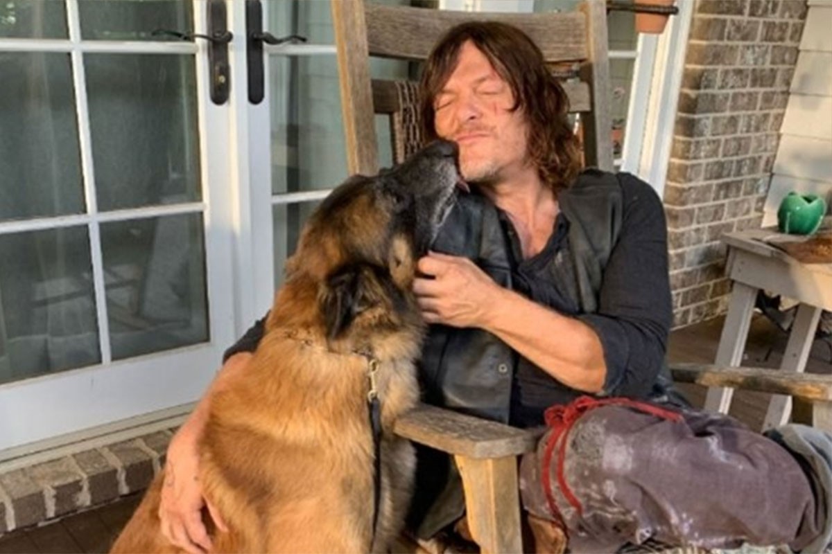 Uginuo Seven, pas koji se proslavio u seriji "The Walking Dead"