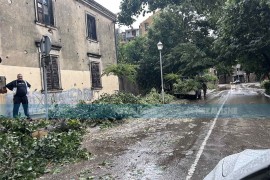 Nevrijeme opustošilo Trebinje: Olujni vjetar lomio drveće i dizao ...