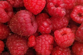 Da li su zdravije svježe ili smrznute maline?