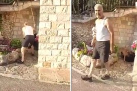 Livnjak brutalno tukao psa, komšije sve snimili i predali policiji ...