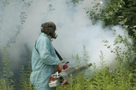 Zaprašivanje komaraca u četvrtak u više banjalučkih naselja