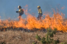 Aktivni požari na Durmitoru i u Rožajama