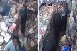 Dva bika se potukla u prodavnici (VIDEO)