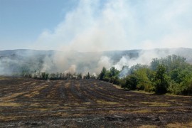 Banjalučki vatrogasci mole sugrađane da ne pale vatru na otvorenom