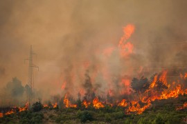 Požar iz Tučepa se širi, u Podgori ugrožene kuće: Krenula ...