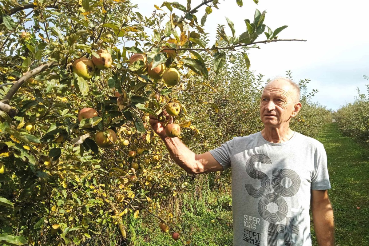 Voćari zadovoljno trljaju ruke, očekuje se rodna godina
