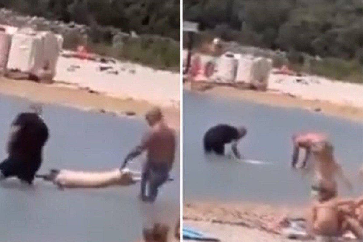 Prase na ražnju unijeli u more i "posolili" vodom (VIDEO)