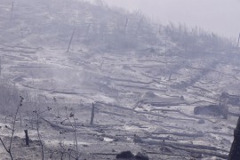 Apokaliptične scene na Hrvatskom primorju: Pogledajte šta je vatra ...