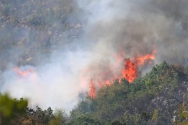 Lovački savez: Osobe koje su pucanjem iz puške izazvale požar nisu ...