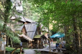 Sutra počinje 24. Međunarodni džez fest "Zelenkovac 2024"