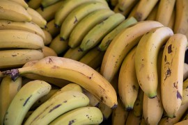 Milionska zapljena u Solunu: Kokain u pošiljci banana