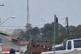 Na mjestu pada aviona u Brazilu pronađena tijela svih poginulih