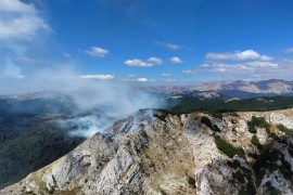 Vatra prijeti stoljetnoj šumi, zatražena pomoć Srbije