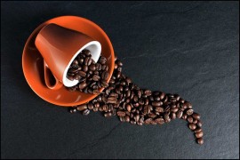 Zrna kafe nisu zrna, a boja jajeta zavisi od ušne resice