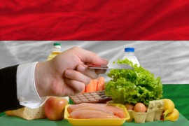 Inflacija u Mađarskoj porasla na 4.1 odsto u julu