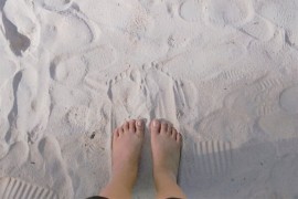 Djevojčica otkrila otiske stopala dinosaurusa na plaži u Velsu