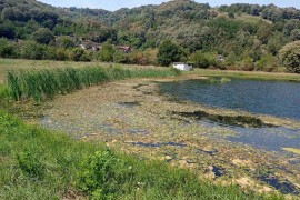 Uzorci vode iz "Vodovoda" Banjaluka biće poslati u "Batut" na ...