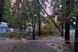 Snažno nevrijeme u Bjelovaru, vjetar čupao stabla