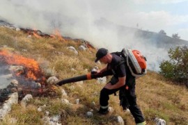 Borba sa požarom na Vidliču se nastavlja, najteže u selima Krupac ...