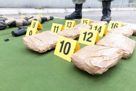 Stotine mula uhvaćeno u krijumčarenju 15 tona kanabisa