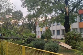 Drvo se odlomilo u dvorištu banjalučke škole (VIDEO)