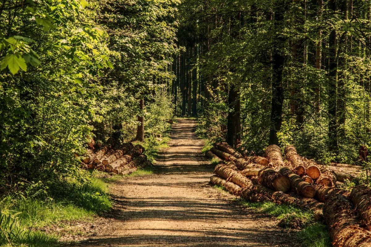 Poginuo u šumi kod Prnjavora