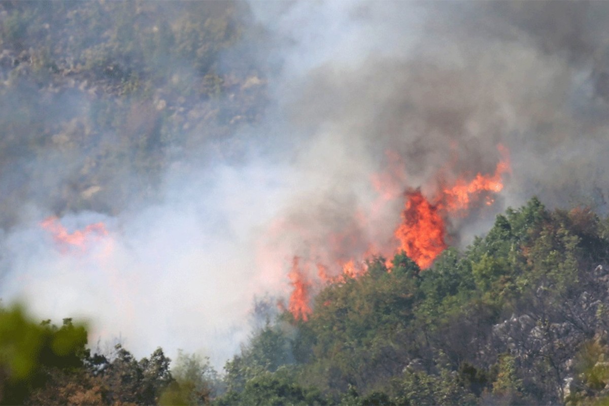 Veliki požar na Dajbabskoj gori