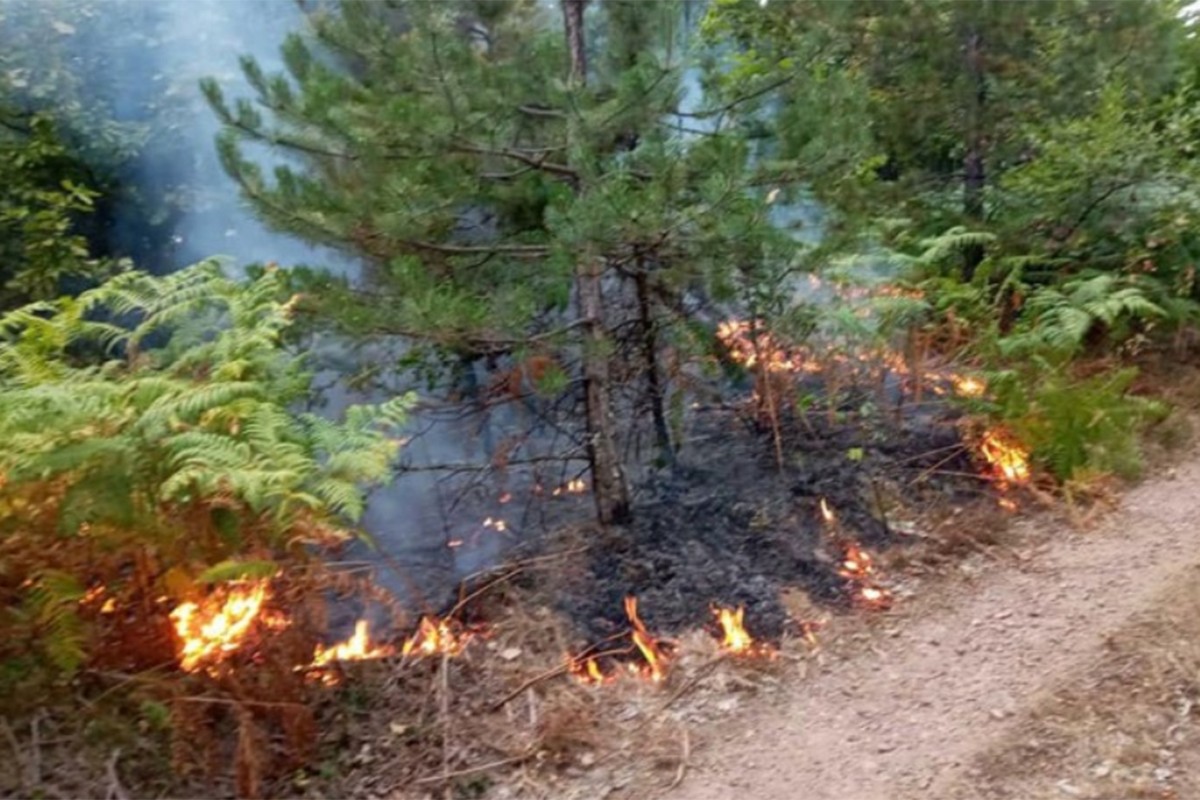 Lokalizovan požar u Podgorici